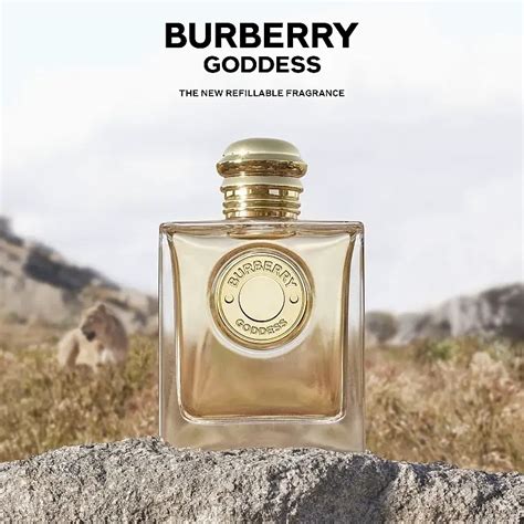 burberry gold fragrance|burberry goddess frangrance net.